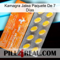 Kamagra Jalea Paquete De 7 Días new05